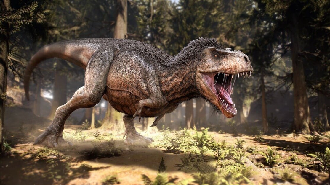 Tyrannosaurus-rex